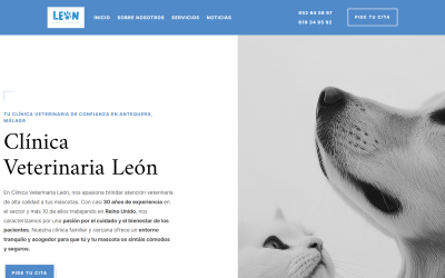 ¡Presentamos nuestra nueva web!