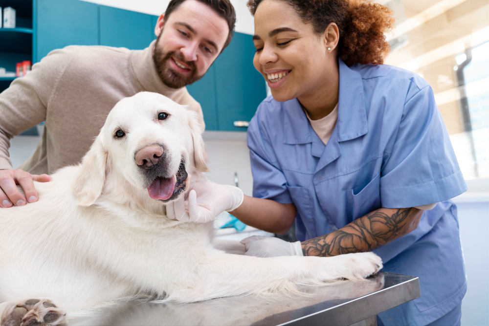 consulta-veterinaria-antequera Veterinaria acaricia a un perro en la sala de consultas