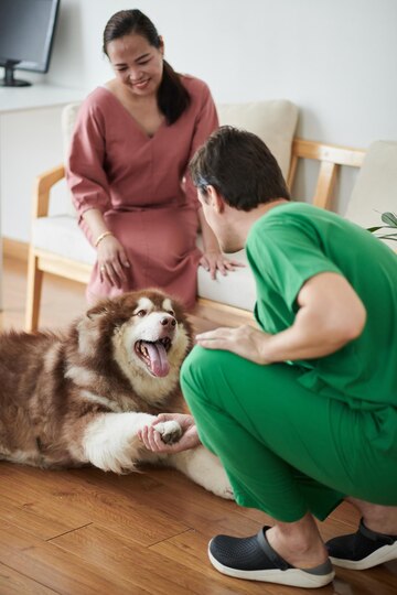 examen-fisico-perro-antequera Veterinario realiza un examen físico a un perro a domicilio