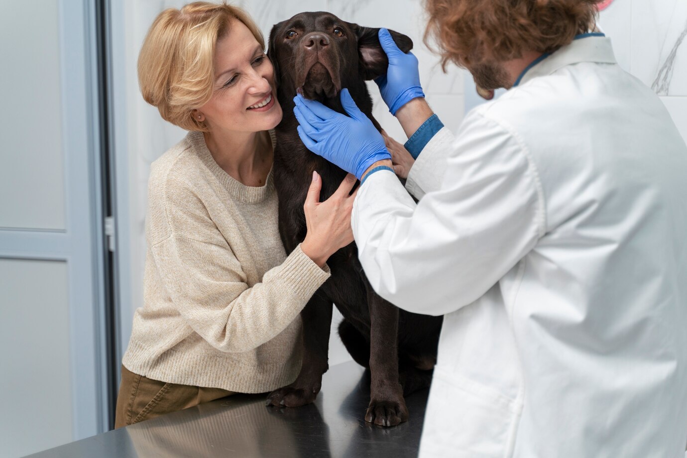 examen-veterinario-antequera Veterinario realiza un examen auditivo a un perro mientras su propietaria lo abraza