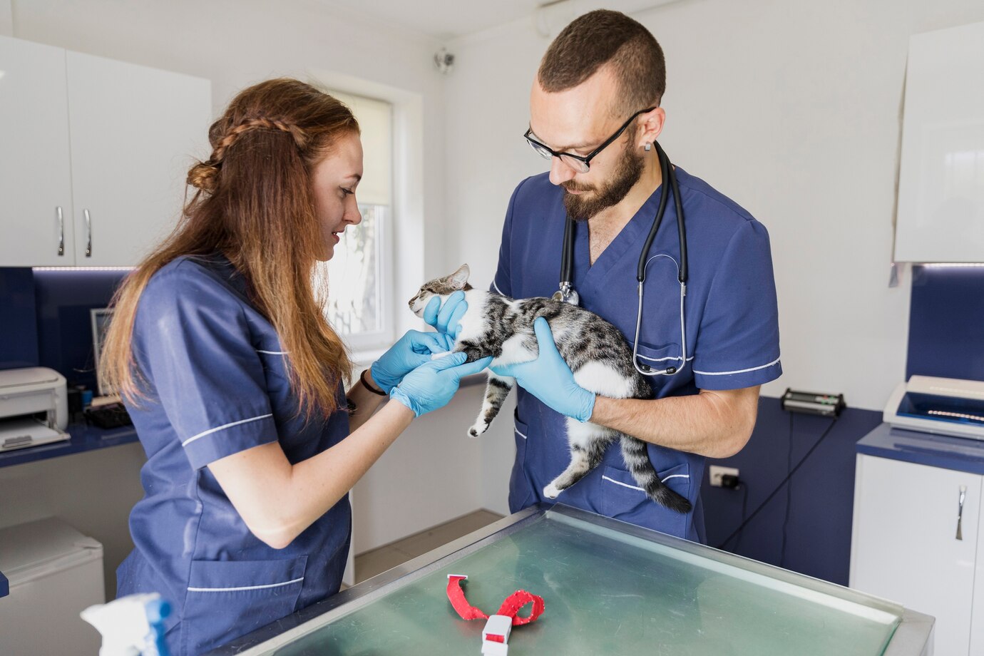 profesional-veterinario-antequera Dos veterinarios sujetan a un gato en brazos mientras le vendan una de sus patas